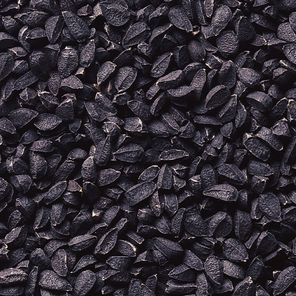 Black Cumin Seed Oil